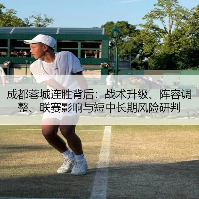 成都蓉城连胜背后：战术升级、阵容调整、联赛影响与短中长期风险研判