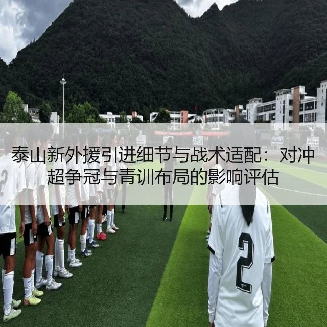 泰山新外援引进细节与战术适配：对冲超争冠与青训布局的影响评估